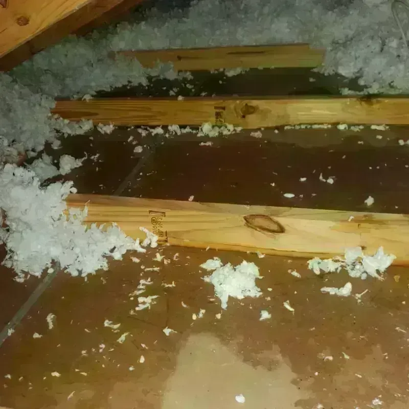 Attic Water Damage in Richmond, WI