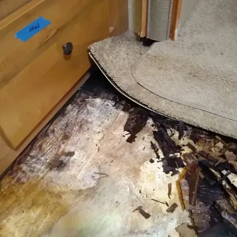 Wood Floor Water Damage in Richmond, WI